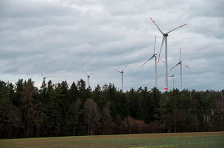 Im Lindenhardter Forst der Bayerischen Staatsforsten gibt es bereits Windräder. An drei anderen Orten sollen weitere folgen. (Archivbild) — © Daniel Vogl/dpa