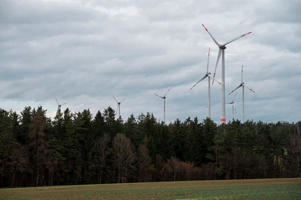 Im Lindenhardter Forst der Bayerischen Staatsforsten gibt es bereits Windräder. An drei anderen Orten sollen weitere folgen. (Archivbild) — © Daniel Vogl/dpa