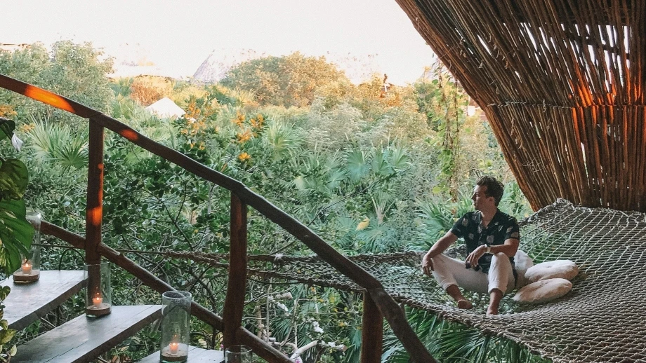 Baumhaus Übernachten Hotel Urlaub Sommer — © Austin Distel / Unsplash